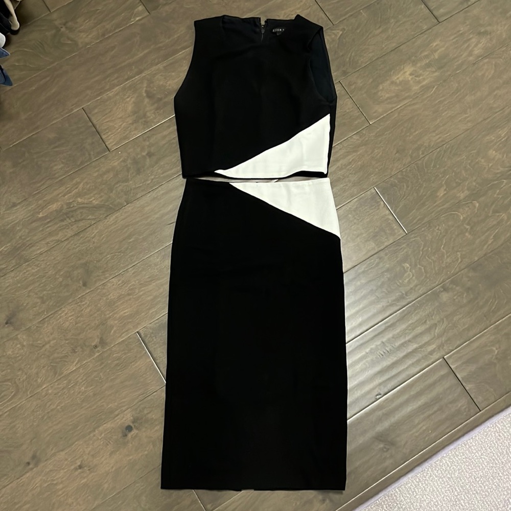 Alice and Olivia cropped top and skirt set